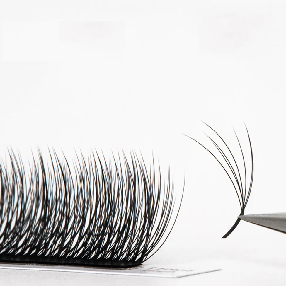 Praise Forever Camellia Eyelash Extension NO Glue at the Root of Lashes