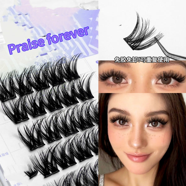 LC05 More than 200 styles