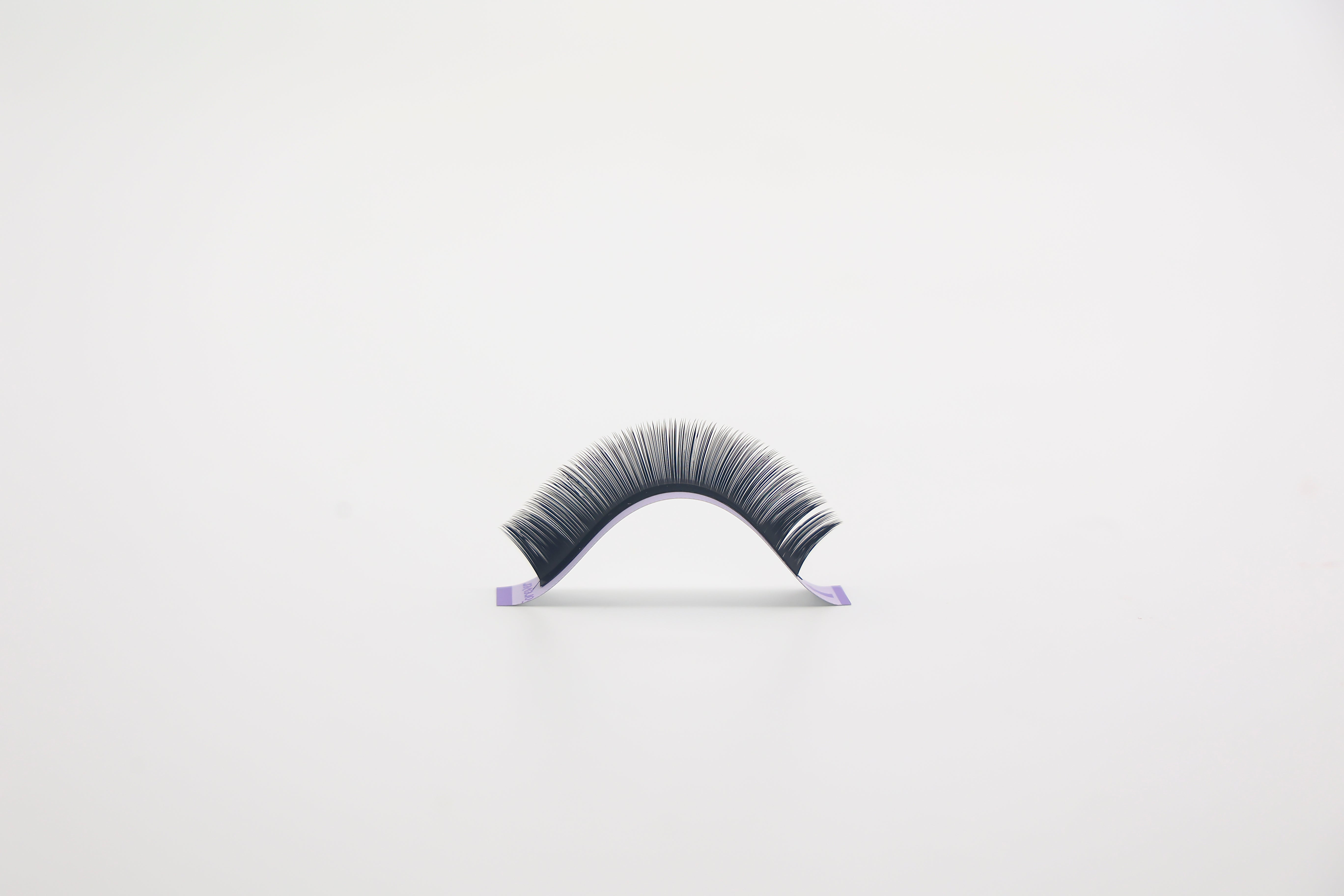 Praise Forever Camellia with glue Lash Extensions
